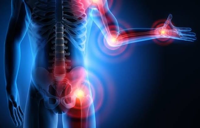Ortho Biologics Image